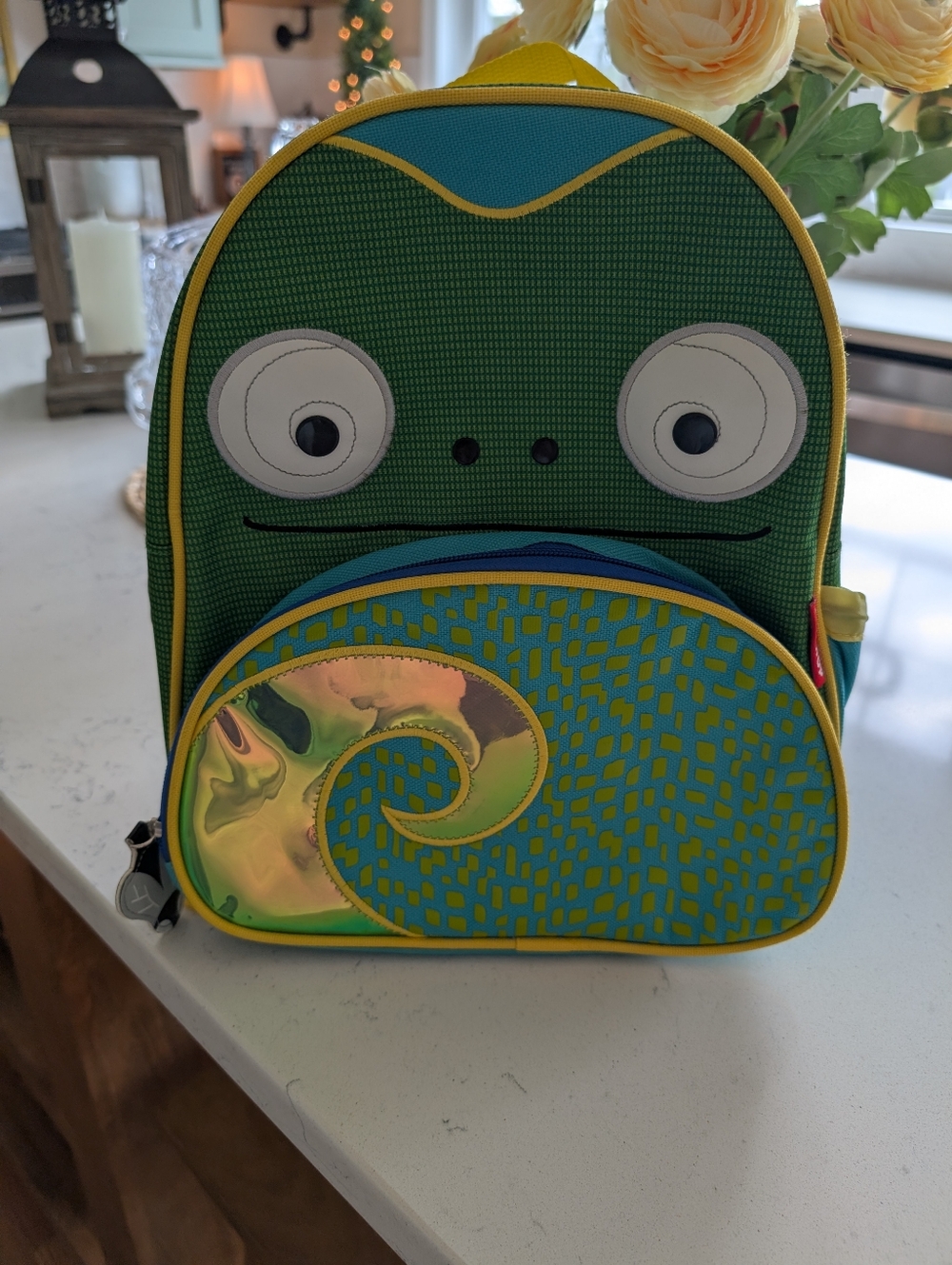 Nwot Never Used Skip Hop Backpack